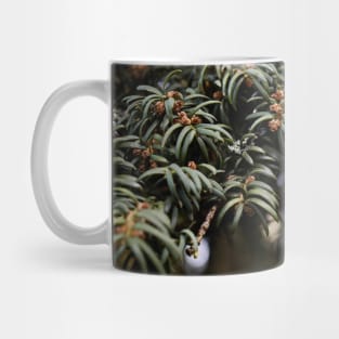 Yew Land. Mug